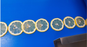 スクリーンショット 2026-01-09 164032